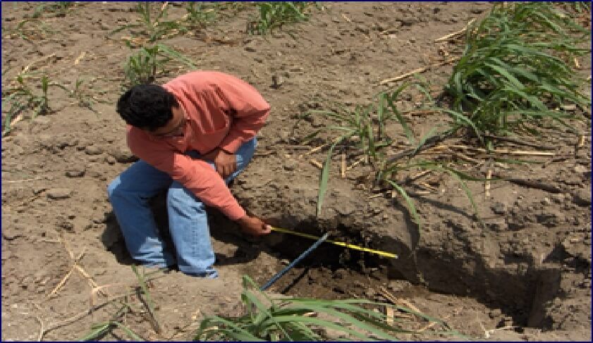  Pruebas de campo 